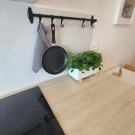 Апартаменты Studio *
